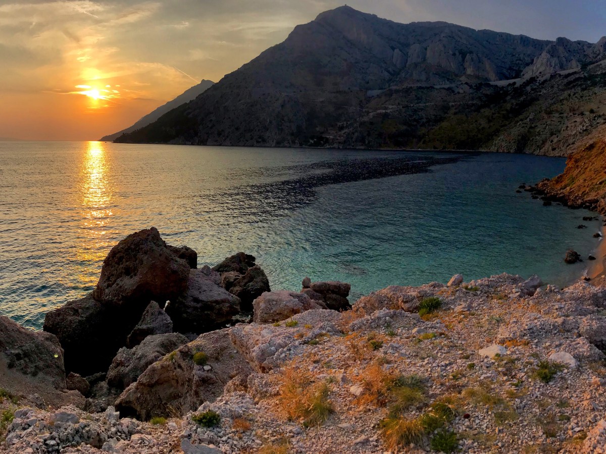 A survey about&nbsp;love